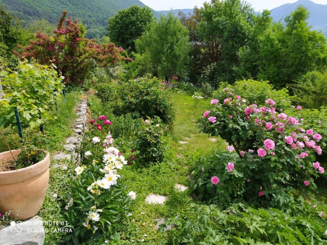 Saint-Alban  Studio Au Pied De La Montagne Et Vue Imprenable מראה חיצוני תמונה