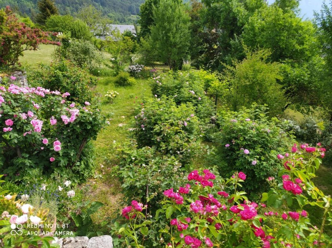 Saint-Alban  Studio Au Pied De La Montagne Et Vue Imprenable מראה חיצוני תמונה