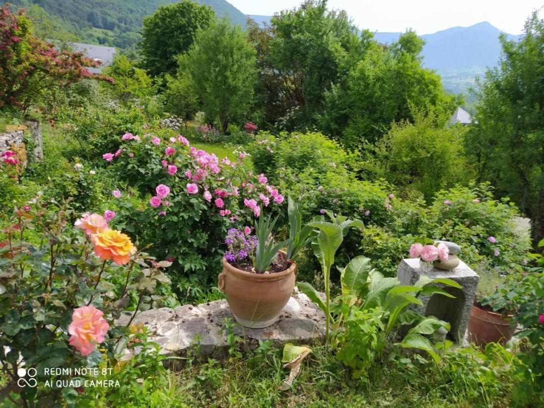 Saint-Alban  Studio Au Pied De La Montagne Et Vue Imprenable מראה חיצוני תמונה